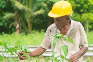 Real Climate Solutions